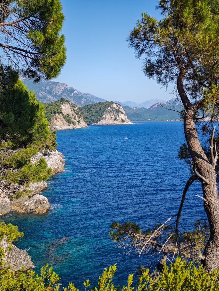 Hiking trail Reževići - Petrovac