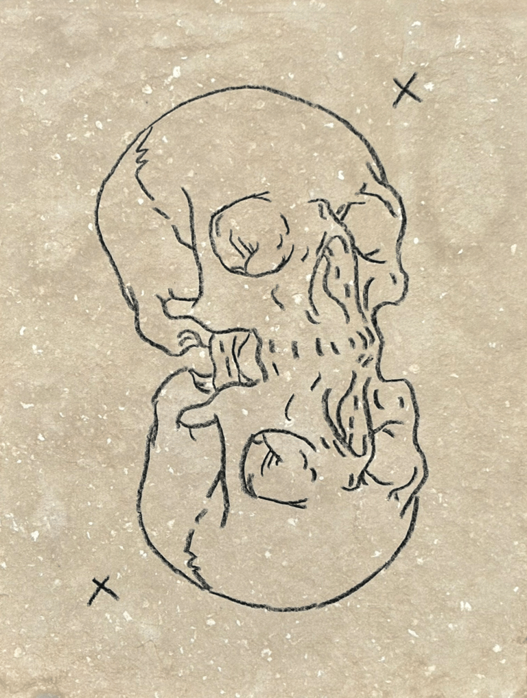 rough sketch of a reflected mirrored human skull made with wax pencil