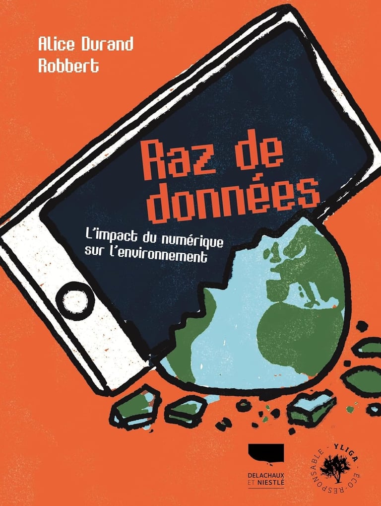 Première de couverture du documentaire Raz de donnée d'Alice Durand et Robbert