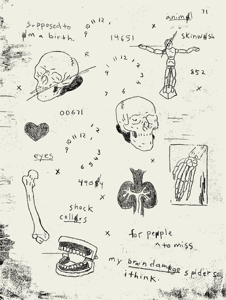 rough digital art of human anatomy codes and cryptic text