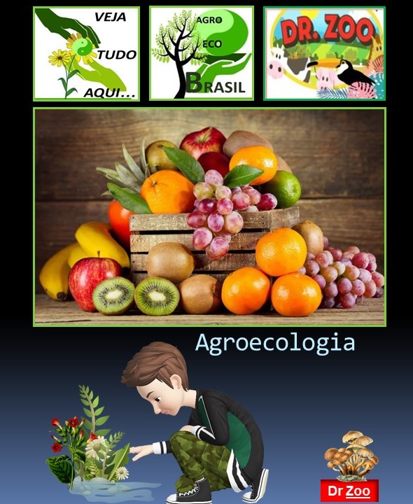 Agroecologia