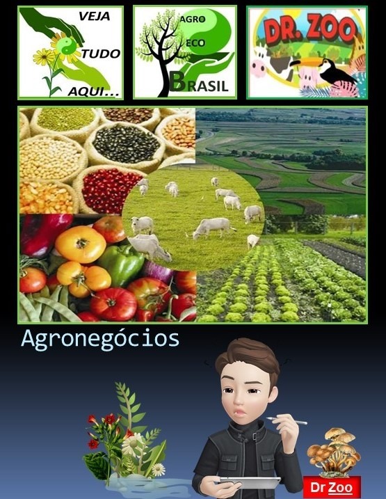 Agronegócios 