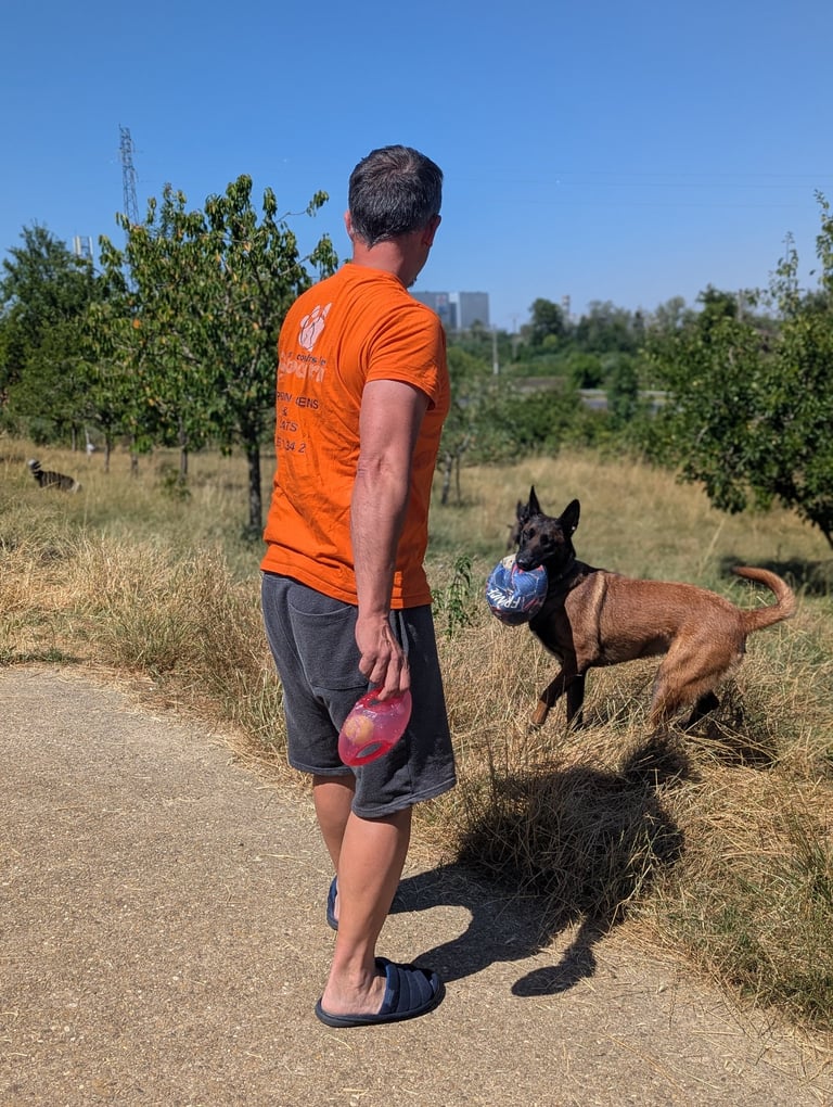 garde de chien nancy