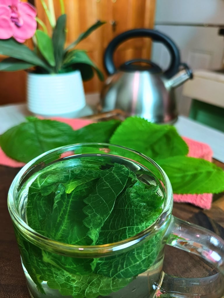 Herbal Tea