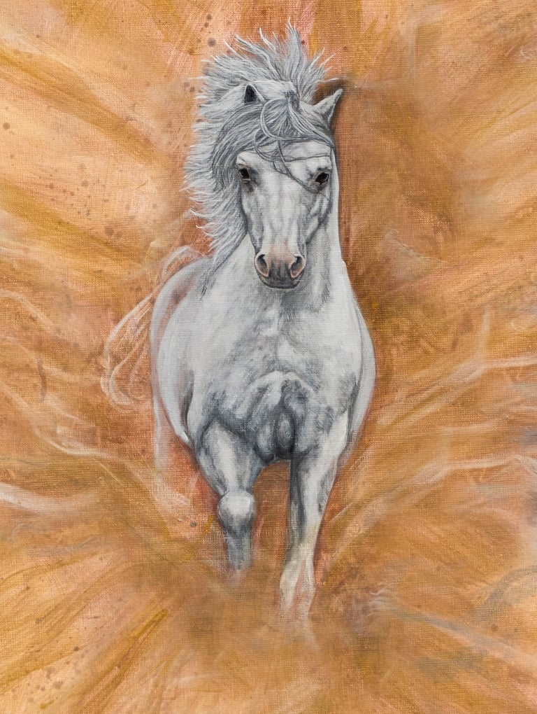 tastbare herinneringen aan je dier