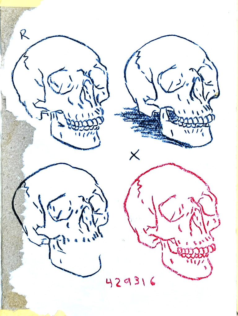 rough sketch of 4 skulls and a code 
