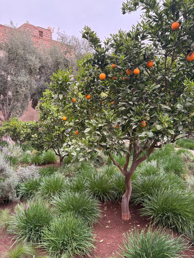 Jardins Secrets Marrakech