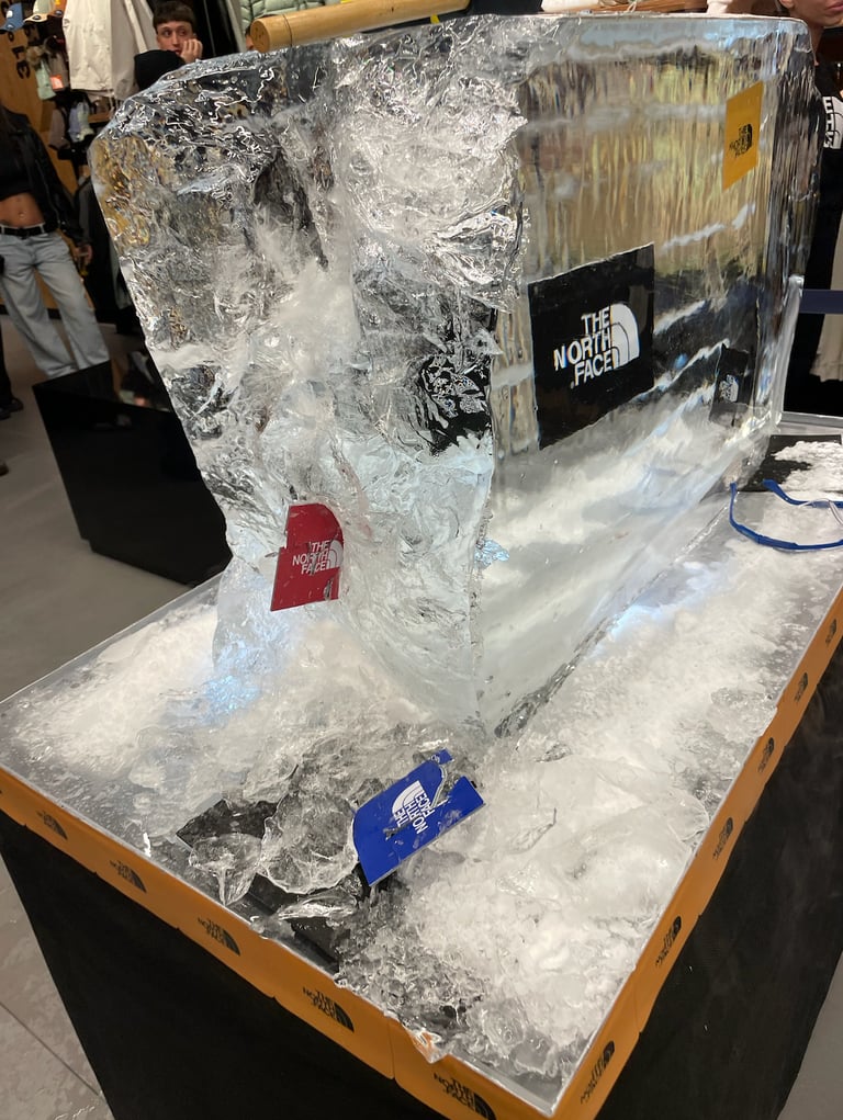 escultura de hielo rompe el hielo por sancho sculpture con vouchers adentro 