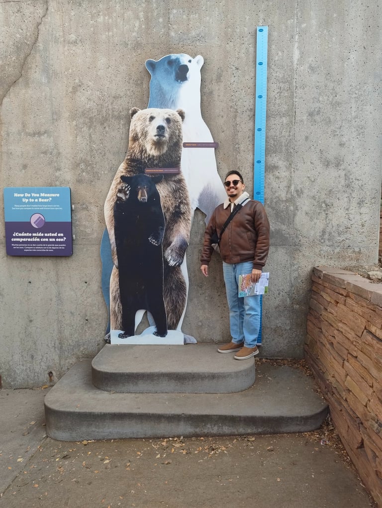 Luis standing next to a trio of bear cutoffs to compare his height.