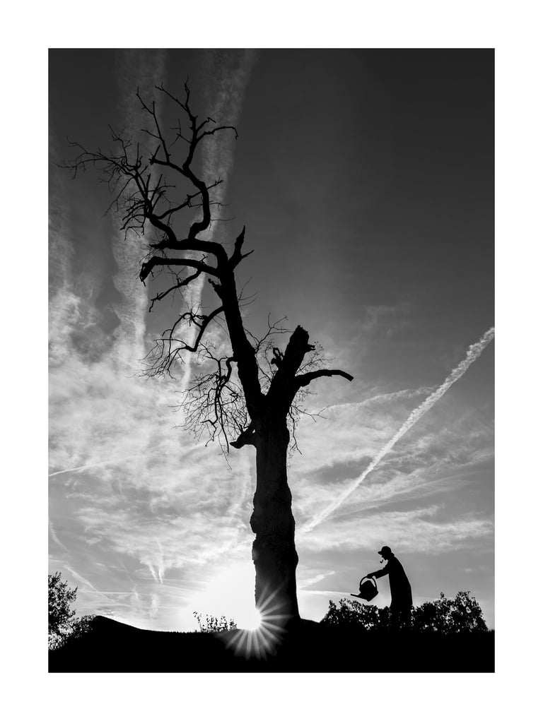 L'Arbre Magique - Le Jardinier 