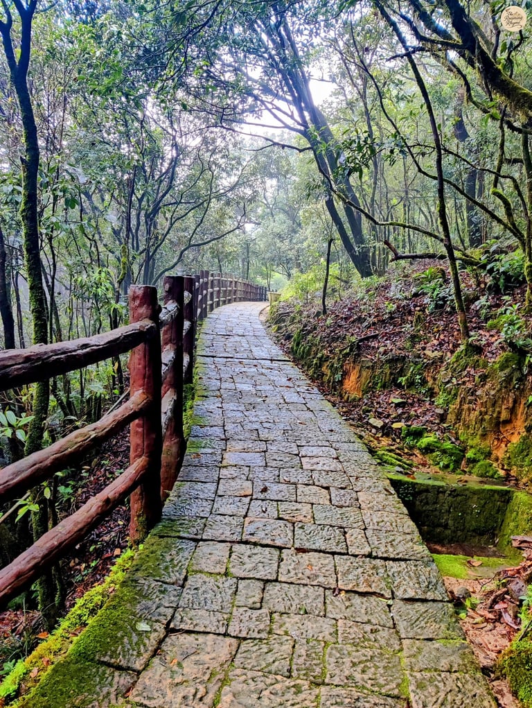 Arwah Cave – A Quiet Trail into Meghalaya’s Limestone Secrets