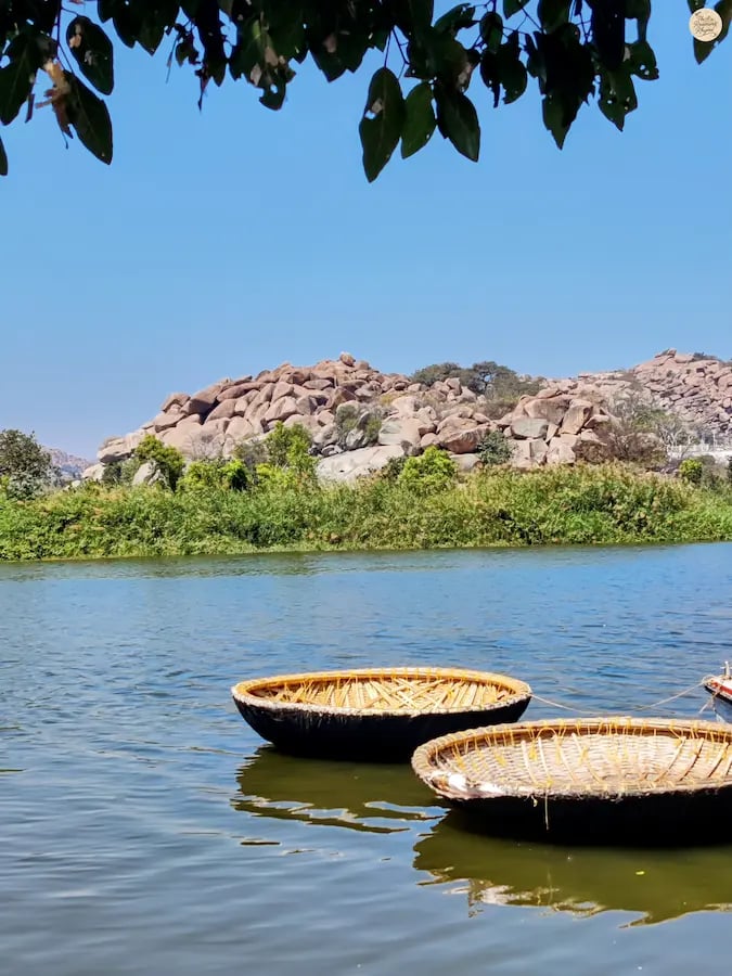 Coracle boats floating on Sanapur Lake in Hampi.