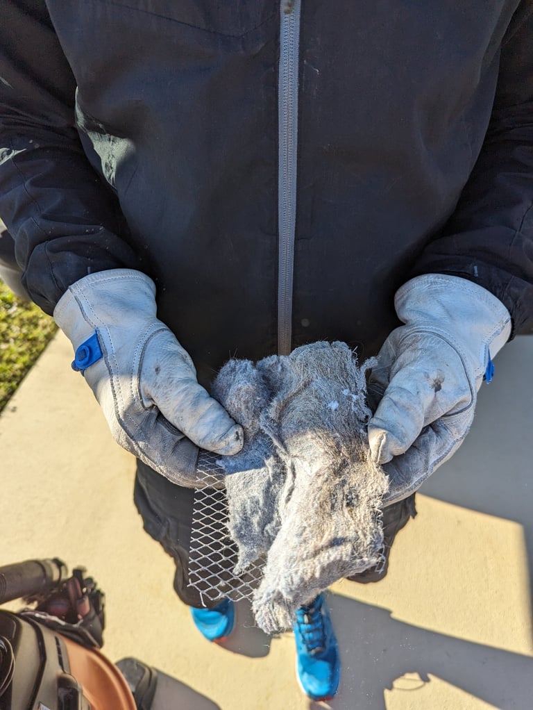 Clean roof screen for dryer vent in Cape Coral Florida