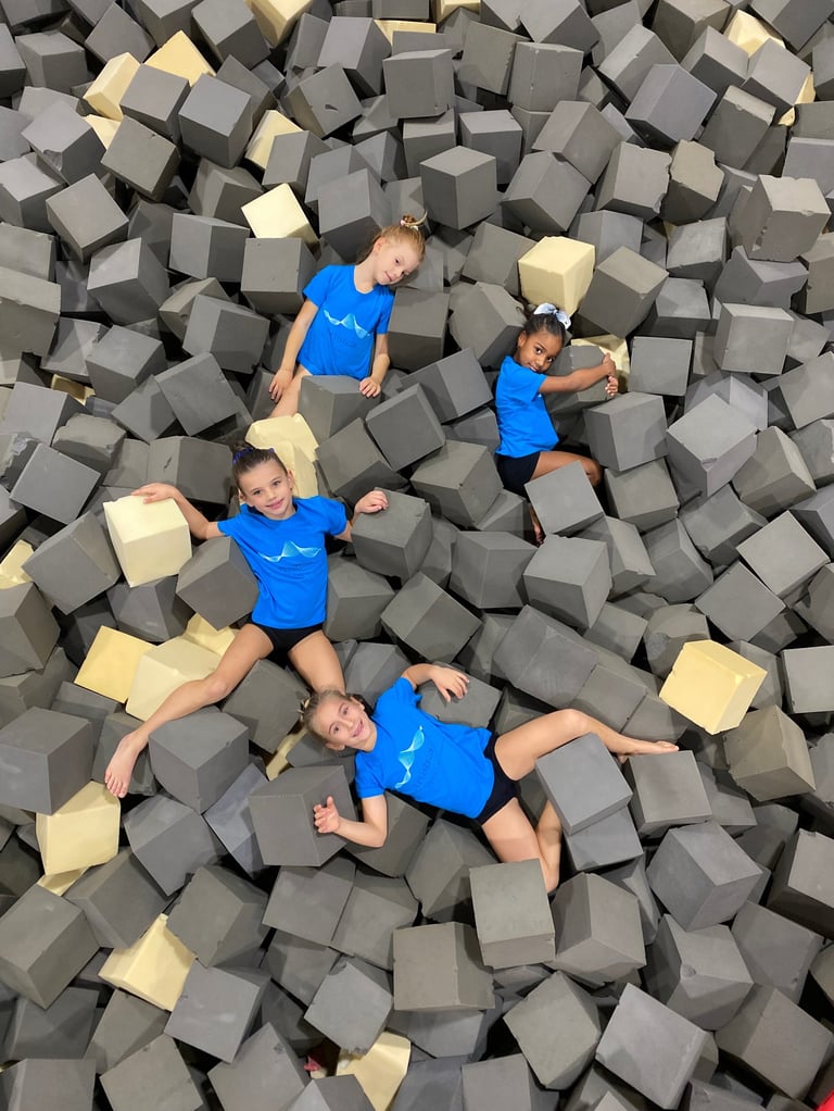 Artistica Jesolo Young 1