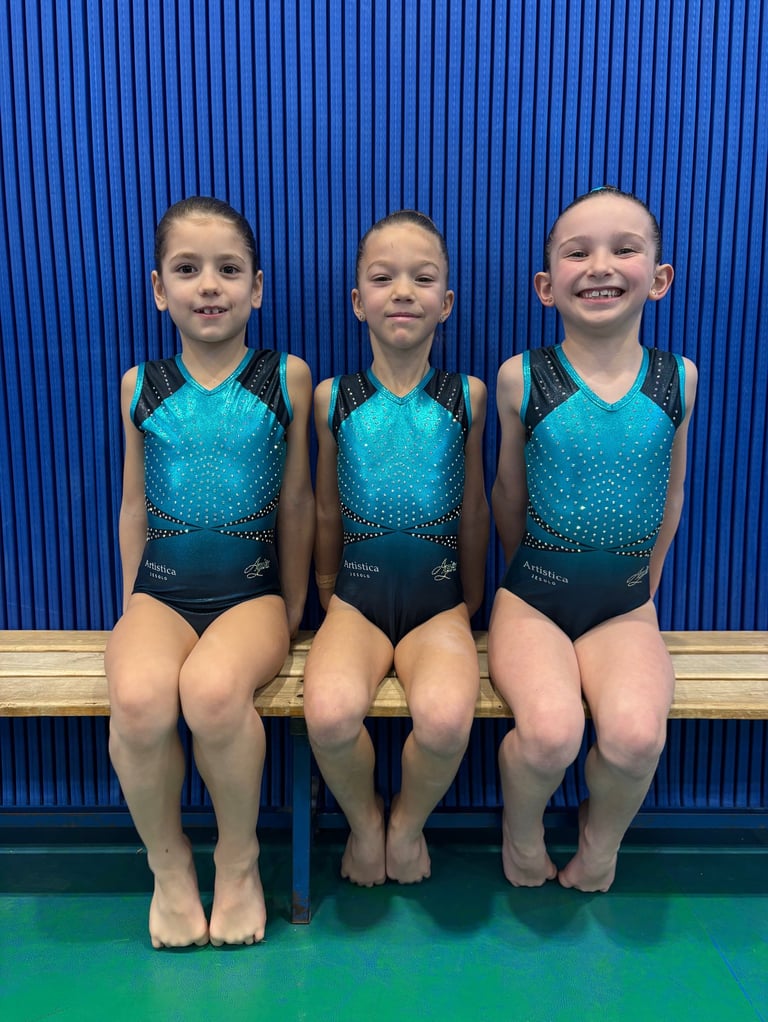 Artistica Jesolo Corso Avanzato