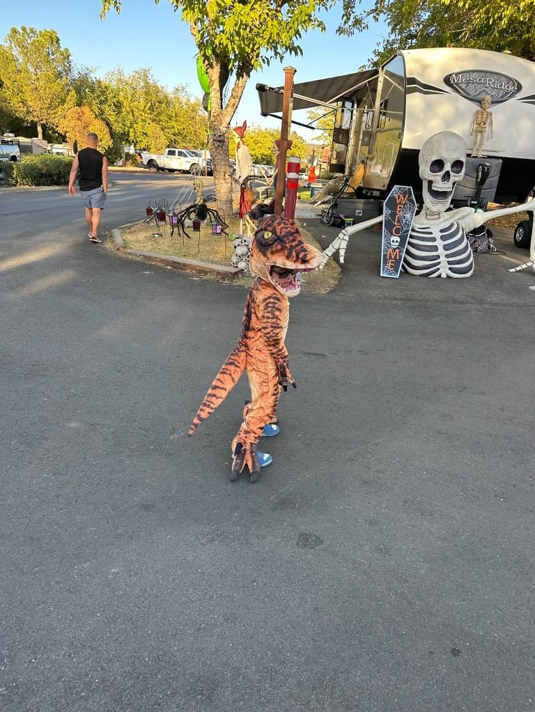kid in costume halloween camping