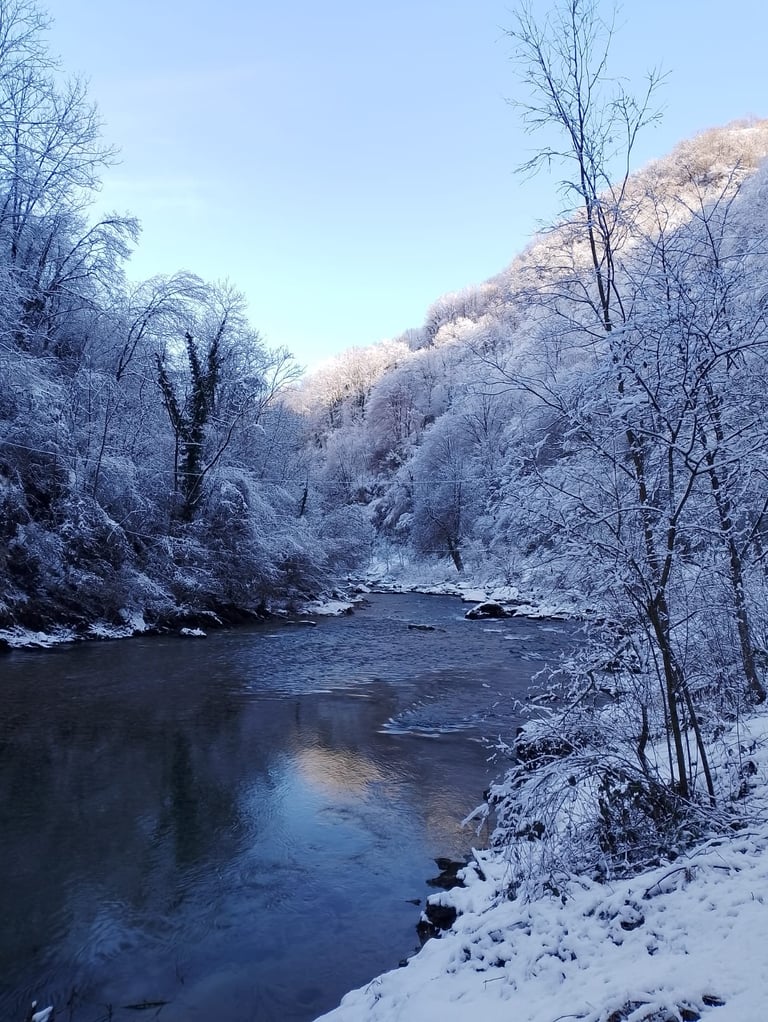 italy landscape house rent