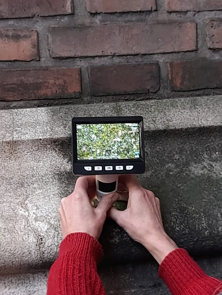 Diagnóstico y análisis realizado en obra por Almapiedra. 