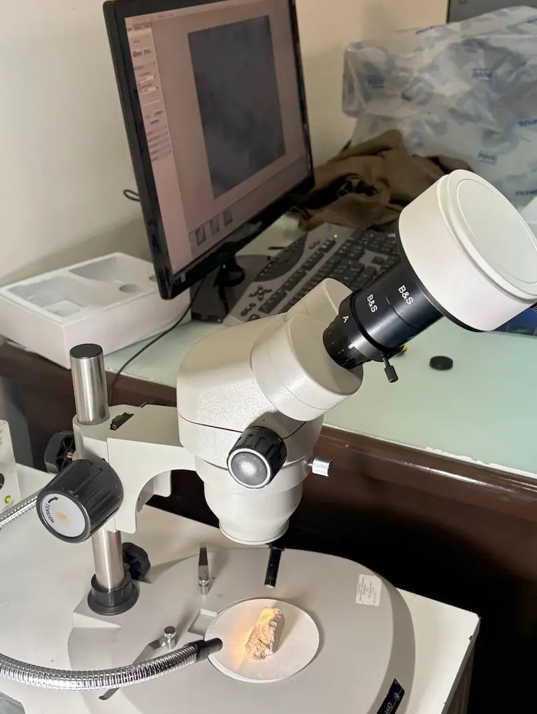 Diagnóstico y análisis en laboratorio realizado por Almapiedra. 