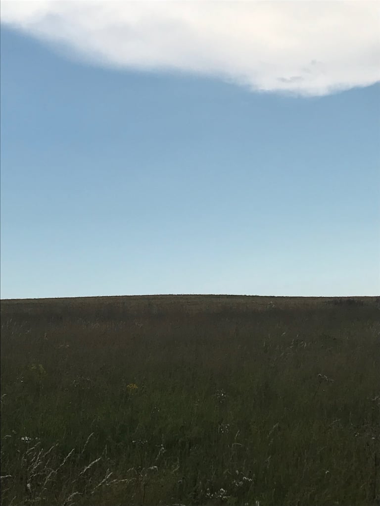 Fields Photograph by Lina Mikuzyte