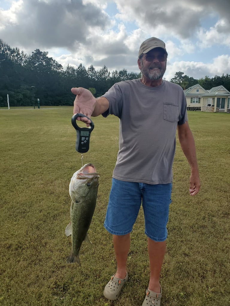 Huge bass at Lake Osprey RV Resort