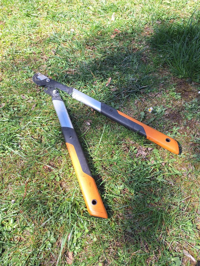 the pruning saw we used for digging up shrubs