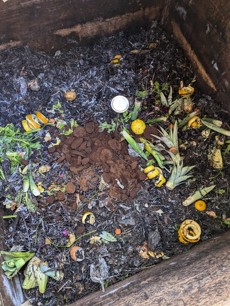 Compost