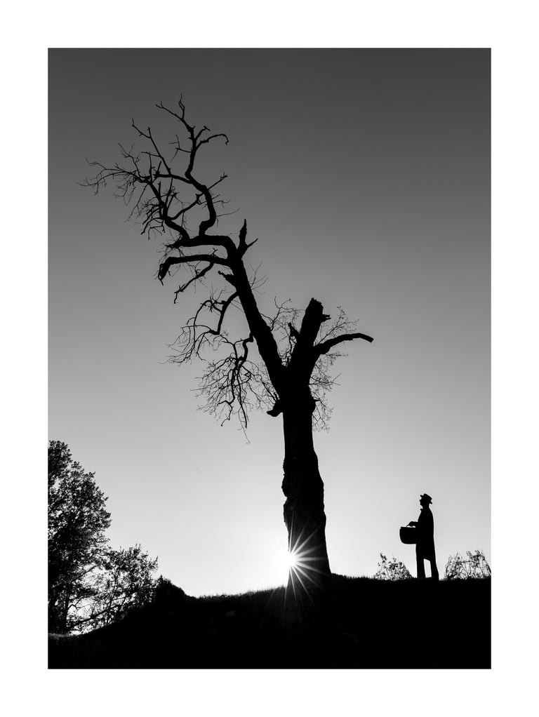 L'Arbre Magique - Le Copiste 