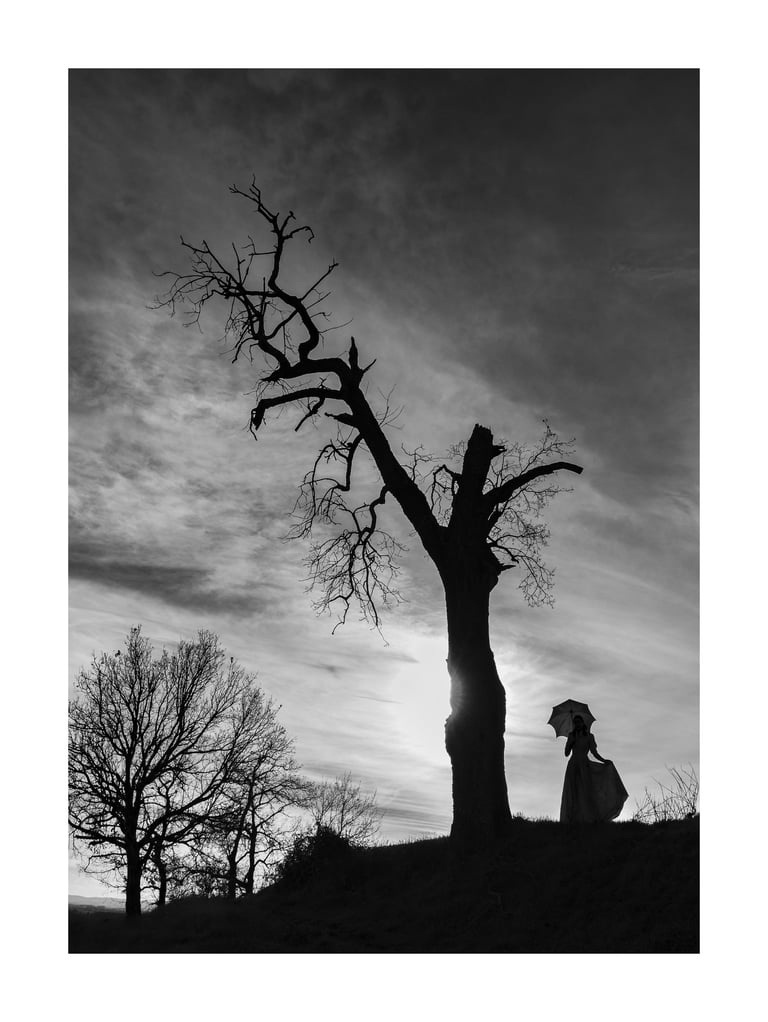 L'Arbre Magique - La Demoiselle