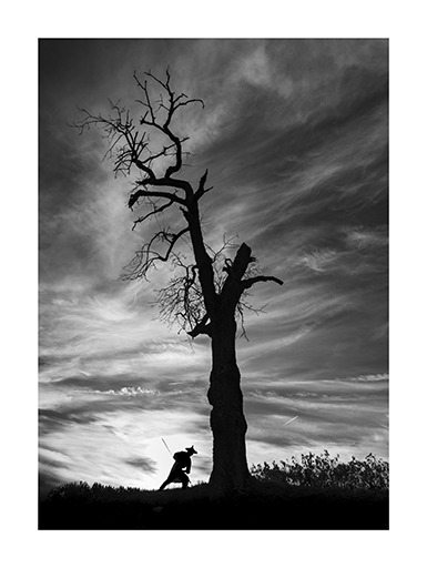 L'Arbre Magique - Le Samouraï 