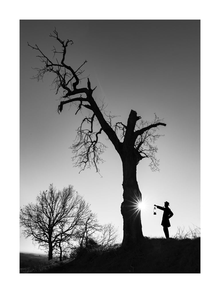 L'Arbre Magique - Mon Oncle