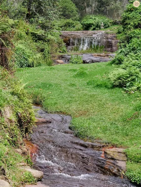 Stream at Liril Falls in Kodaikanal with gentle summer water flow.