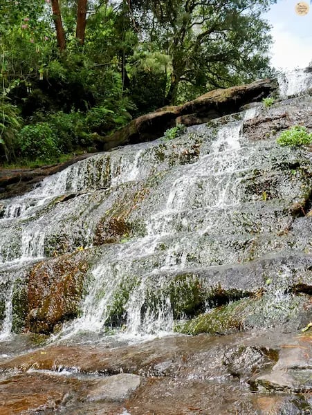 Serene Vattakanal Falls cascading through rocks and greenery in Kodaikanal.
