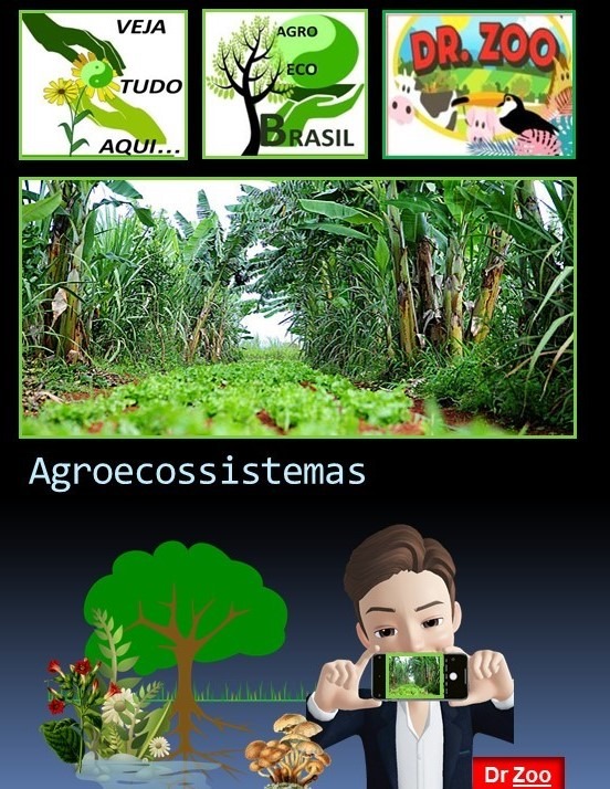 Agroecossistemas