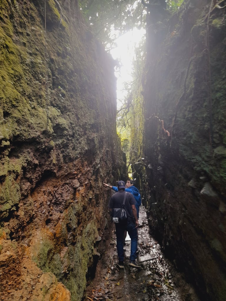 Mombacho volcano trail