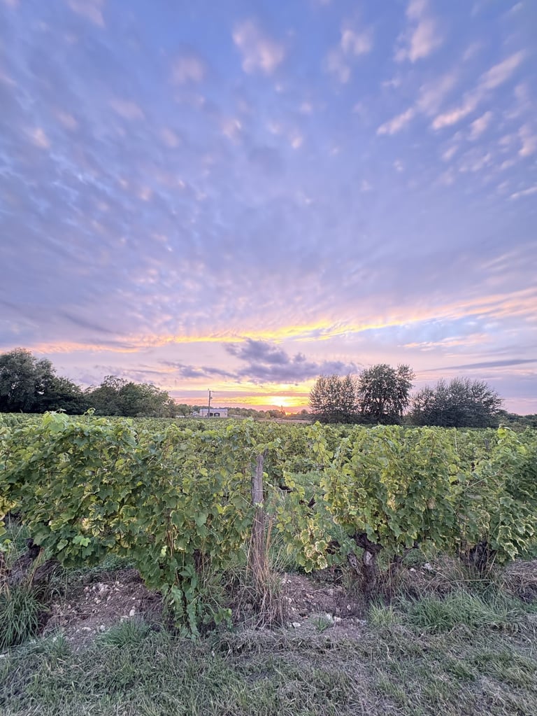 Closerie de chanteloup vignes Amboise 2025