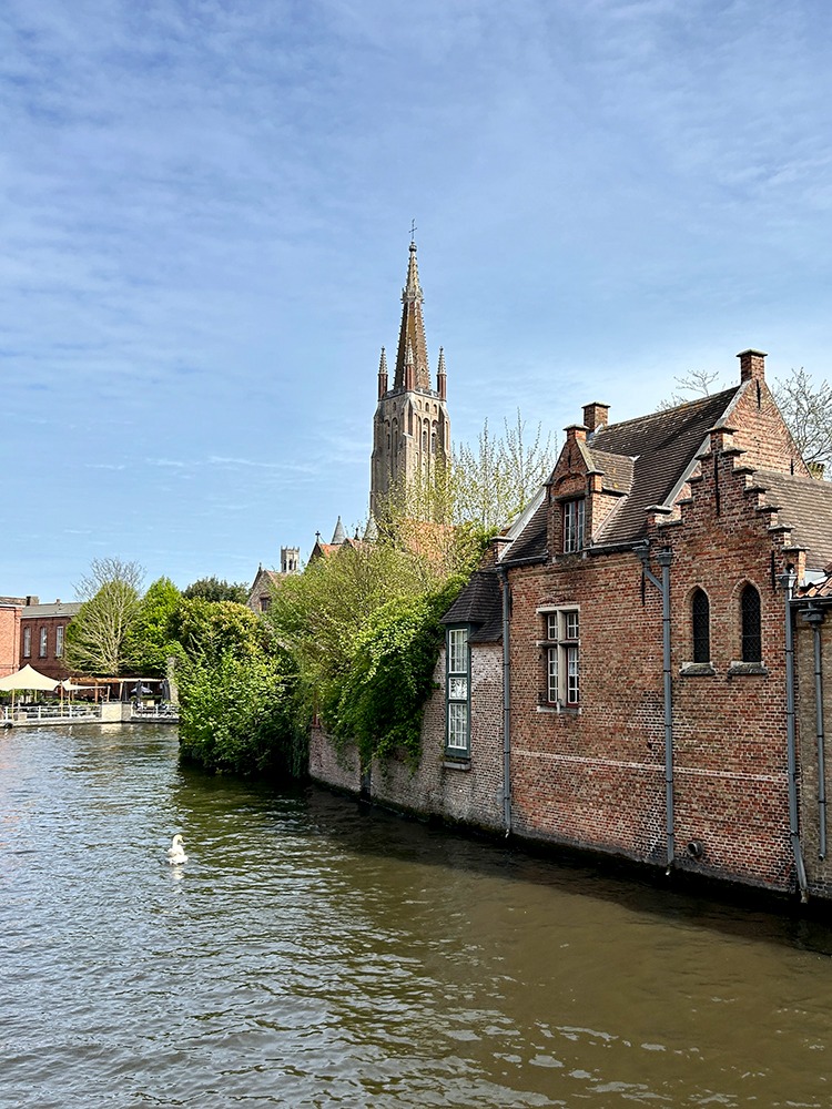 Architecture au bord du canal à Bruges