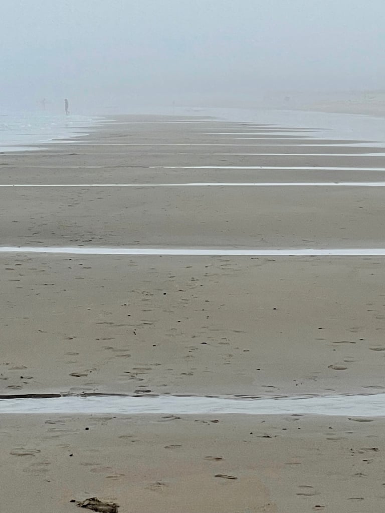 Off in the Distance - Photograph by Lynn Ellis