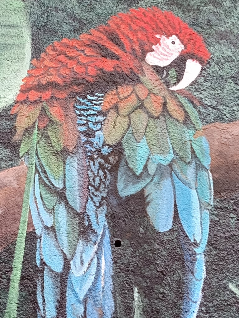 red macaw sitting on a branch of a tree