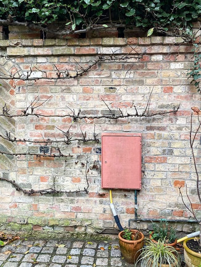 A bleached pink plastic electricity box attached to a garden brick wall.