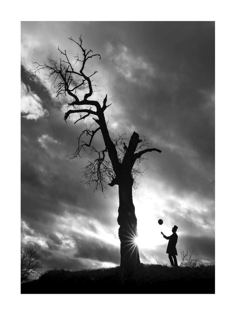 L'Arbre Magique - Le Réveur 