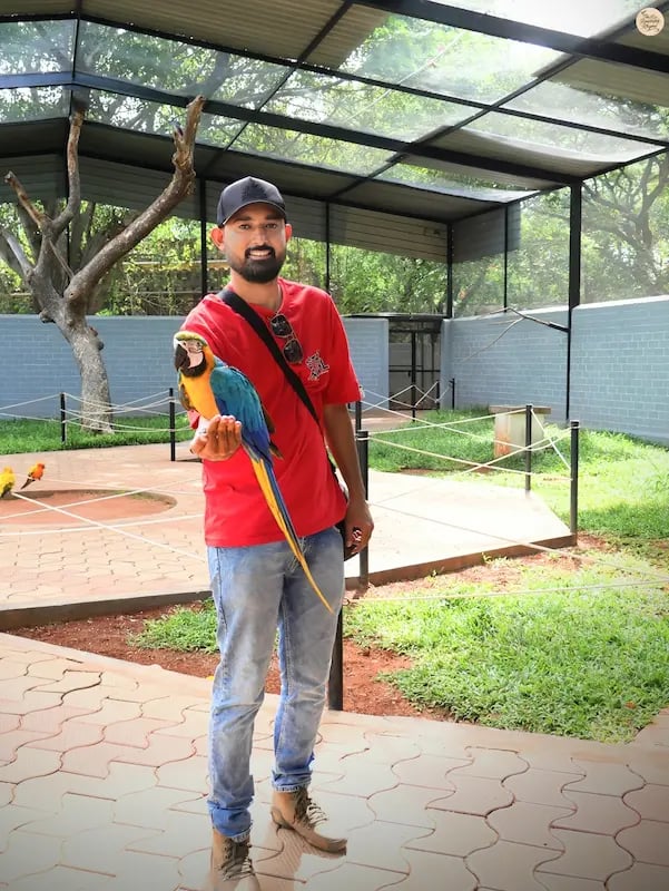 Colorful macaw sitting on a visitor’s hand at Rajali Bird Park, Thanjavur