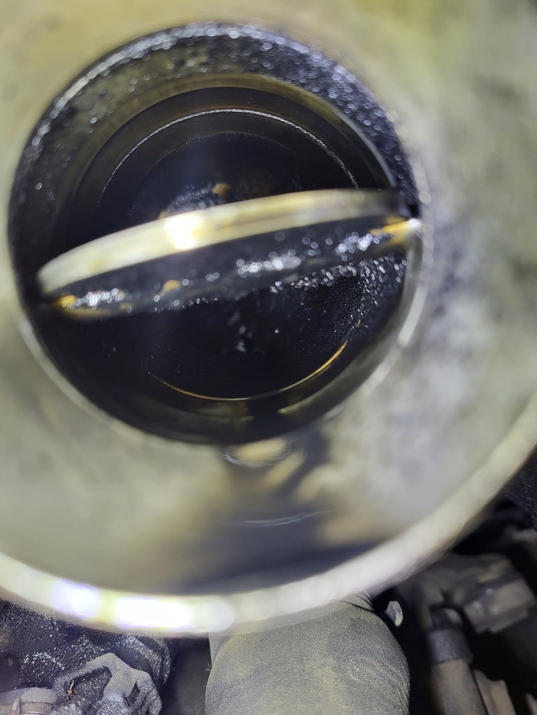 dekarbonizacija na usis / usisna klapna so garez i masni naslagi