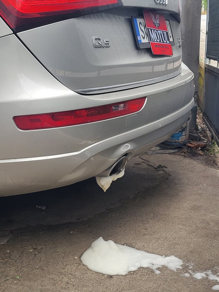 машинско перење дпф филтер без демонтажа со мотул машина и адитив со TUV sertifikat