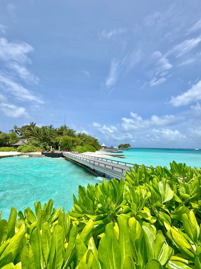 Baros Maldives jetty