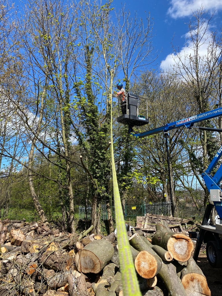 Chainsaw from MEWP
