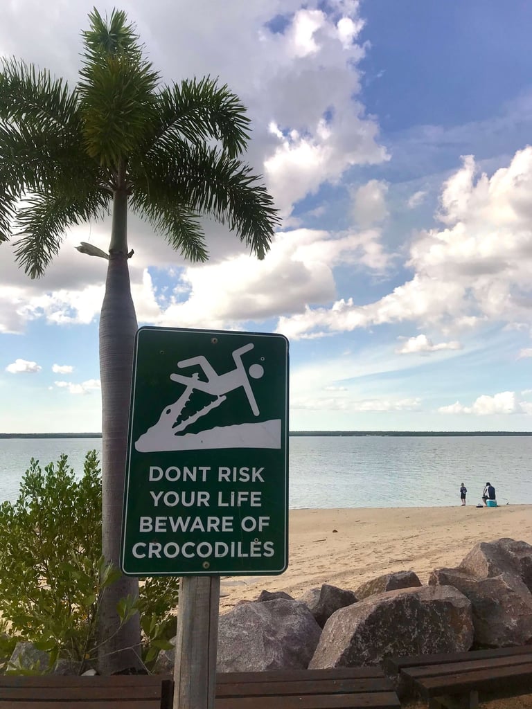 Are there crocodiles in Australia? Hell yes