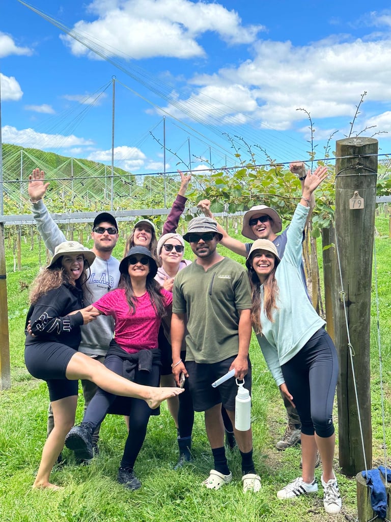 Mis compañeros en la orchard de kiwis en NZ