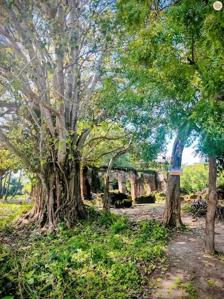 Ancient brick ruins of Arikamedu in Pondicherry.