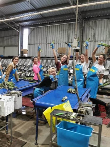 Working in a pack house in Australia